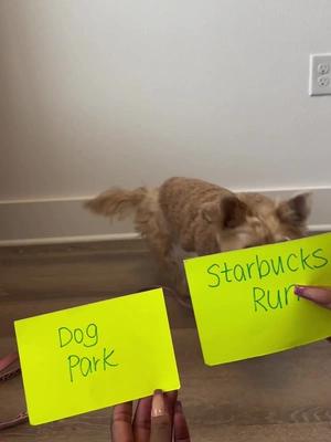 Walk. Plant. Save the Planet