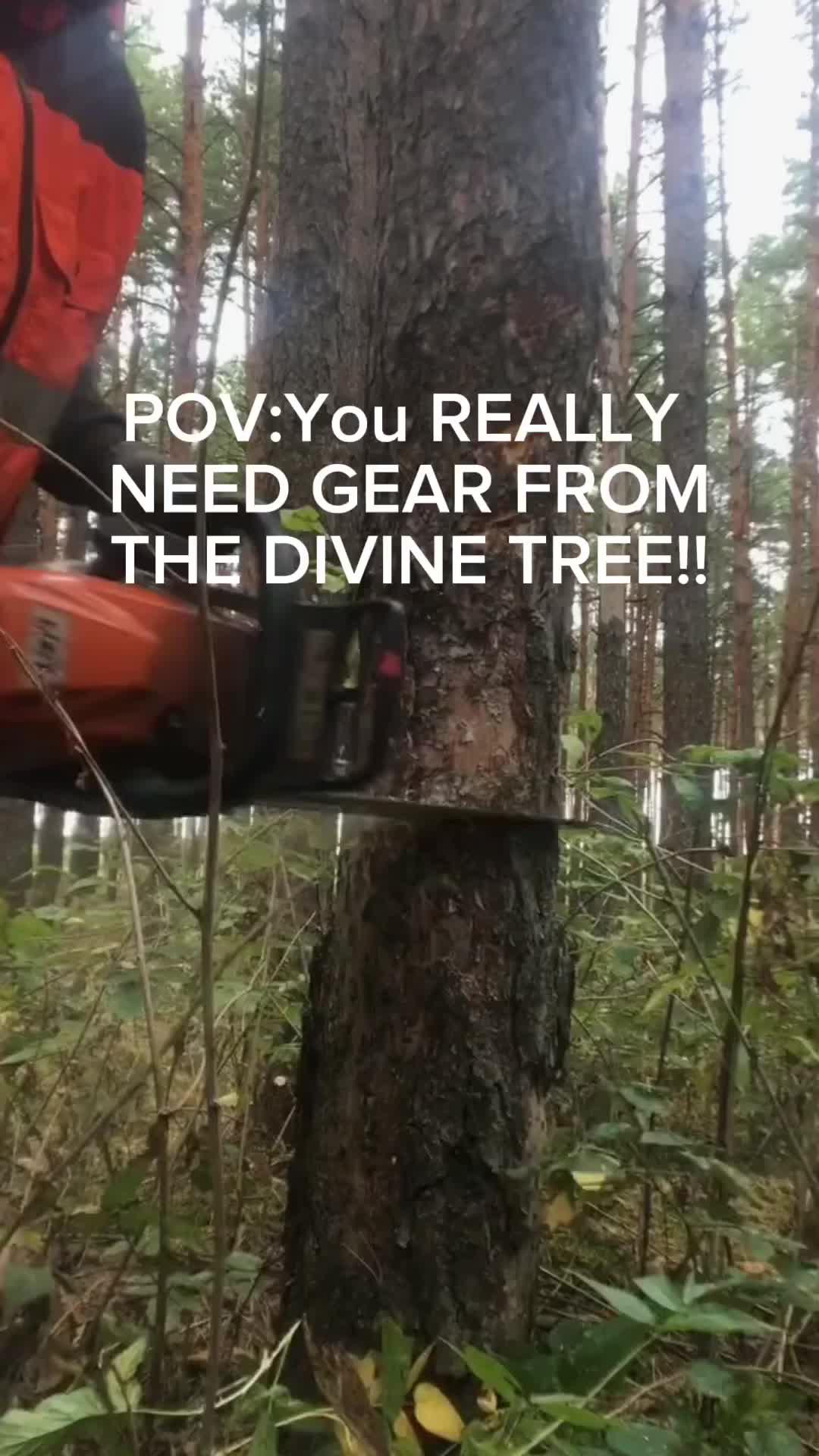 Download NOW for FREE!