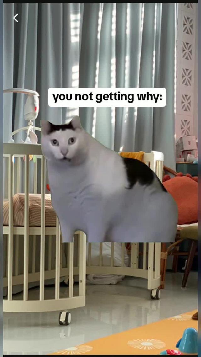 Struggle with baby sleep? Translate their cries with Nanni AI!