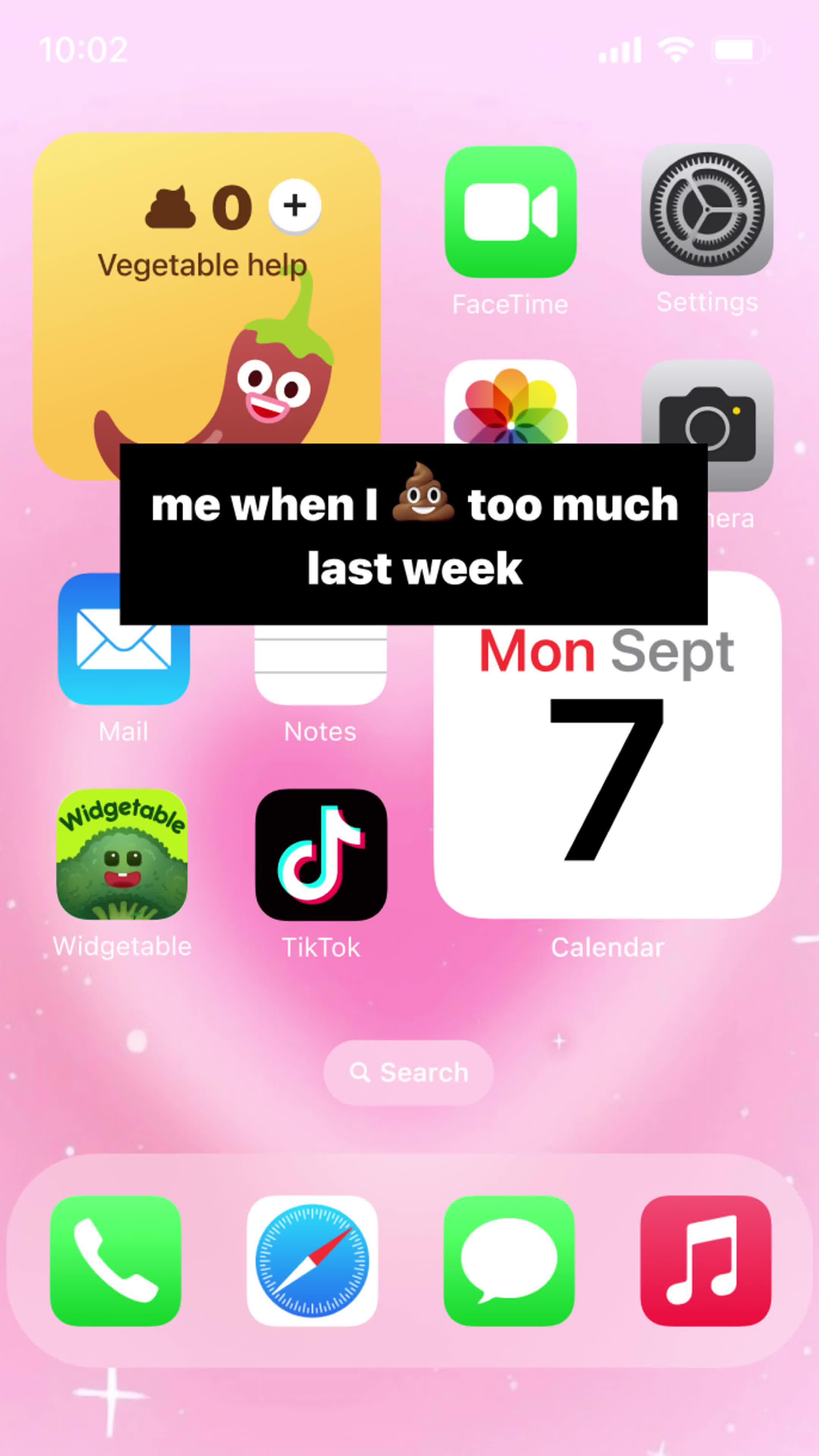 Record your pooping time