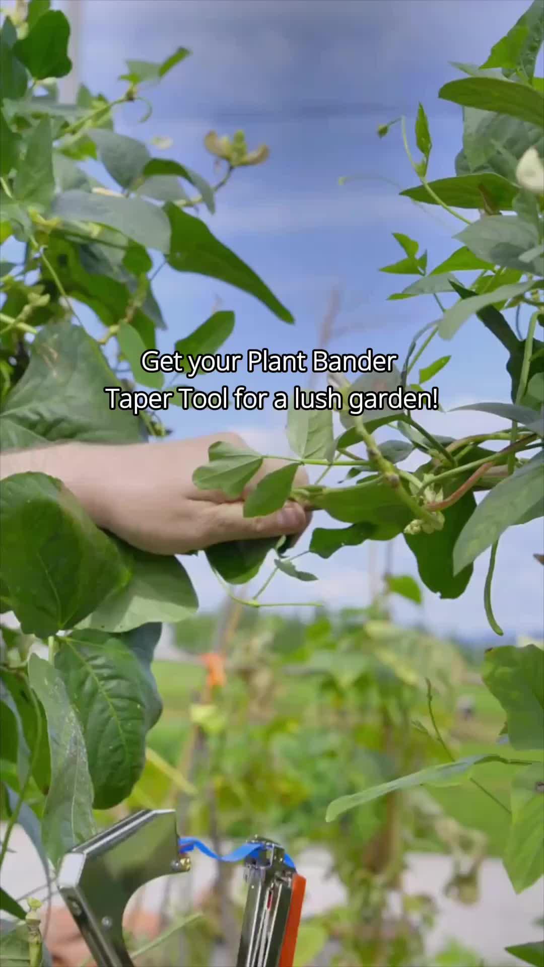 Temu Genius Finds!!! 🏠✨ The price is affordable and the shipping is fast!!! ❤checking out more furniture on Temu ✨❤ #temusale #temuhaul #temu #temufinds #temudecor #temugarden #interiordesign #gardefinds #cocygarde #cheapdecor #gardesale #tryonhaul #gardemusthave