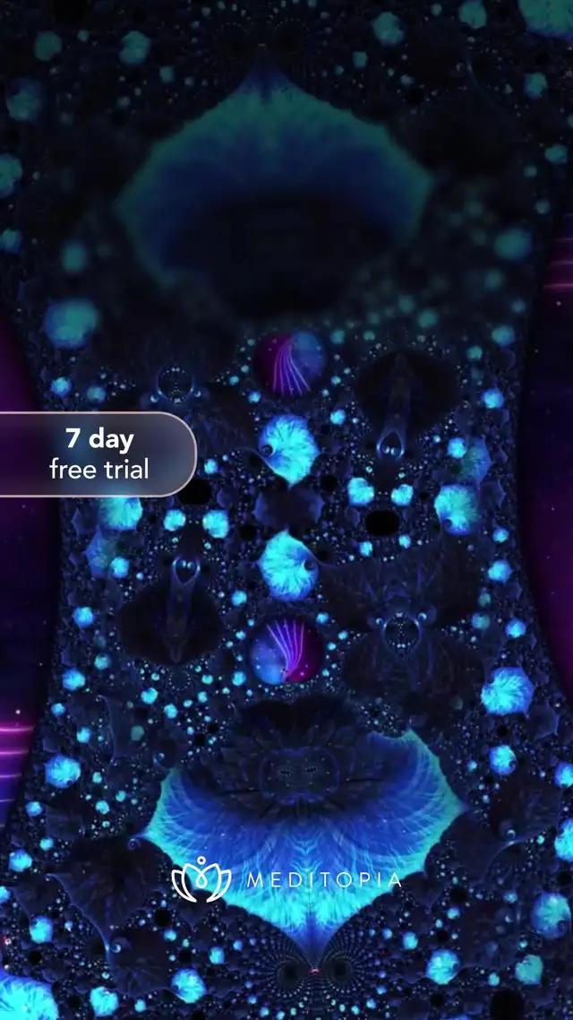 Start meditating now