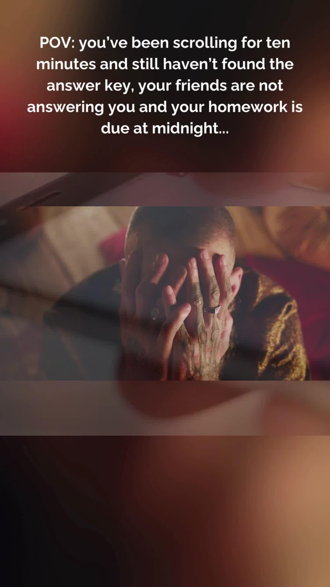 Download Studdy Now!