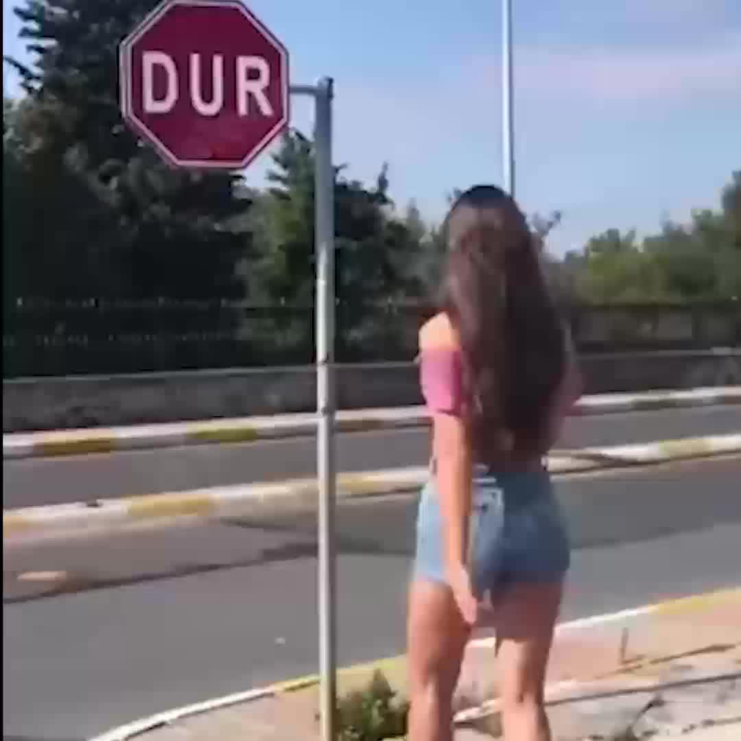 All language translator app