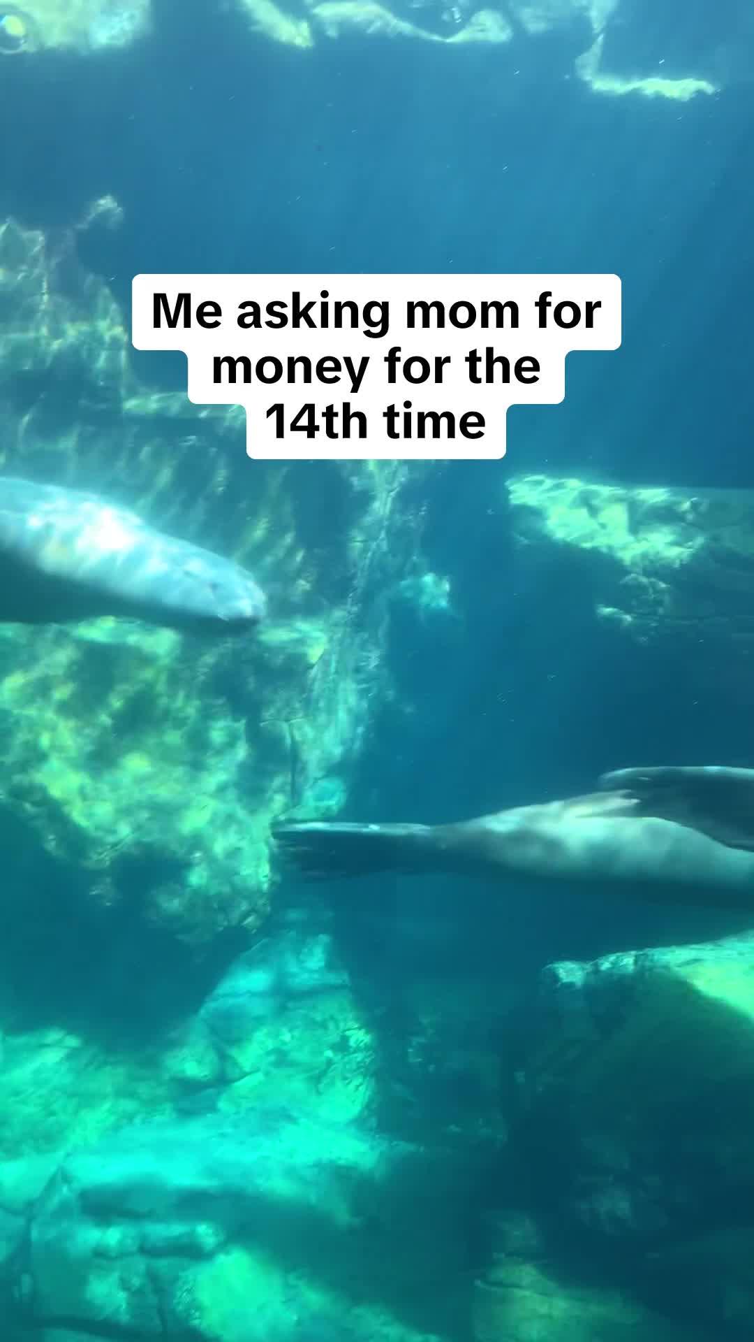 This app sends you up to $250