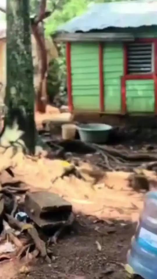 Gunakan kod kupon [LA4YOU] kalau anda nak jimat RM59 untuk penghantaran pantas dengan Lalamove!