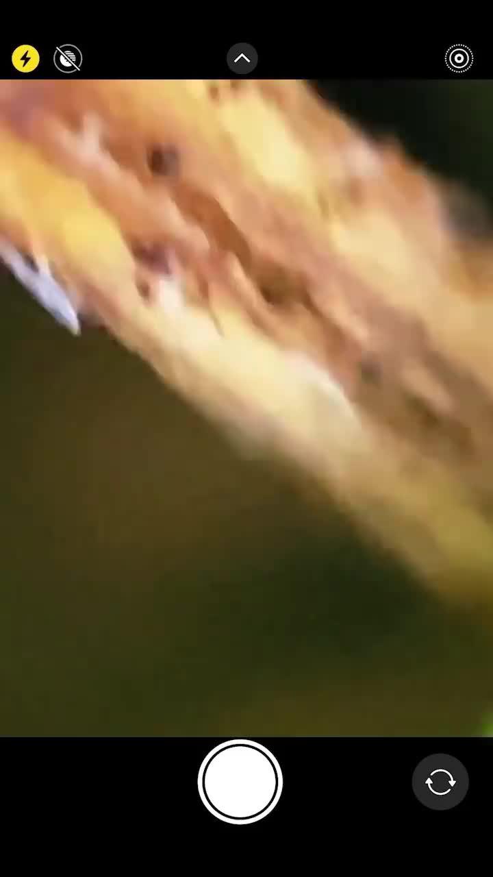 Download this application and it is a very practical software.