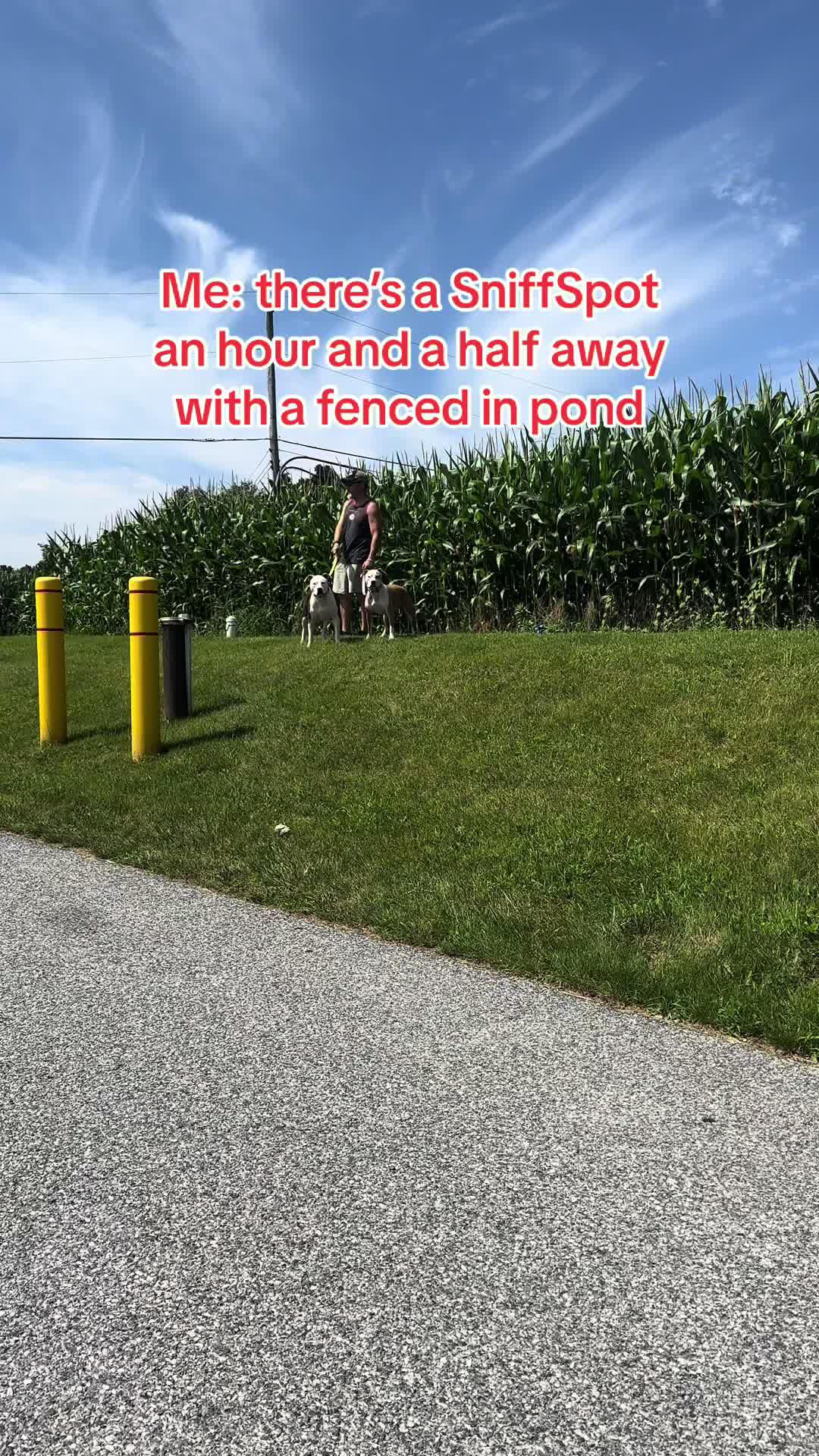 Owning reactive dogs doesn’t mean you have to give up spontaneous adventures, you just need to download @Sniffspot #privatedogpark #reactivedogs #reactivedogowners #reactivedogsoftiktok #sniffspot