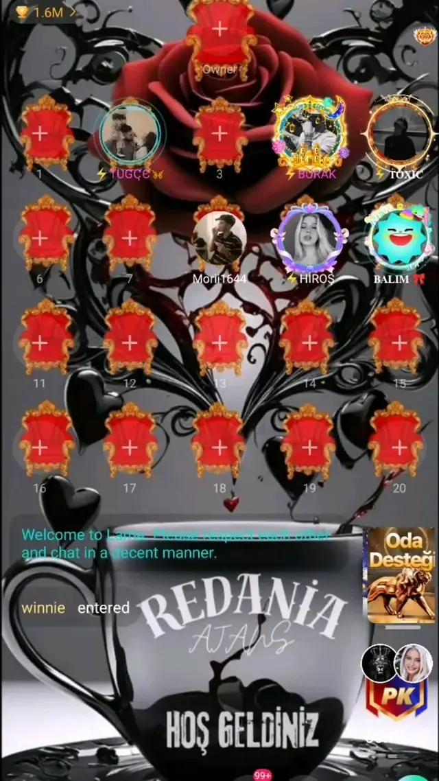 24 saat sesli sohbet odası