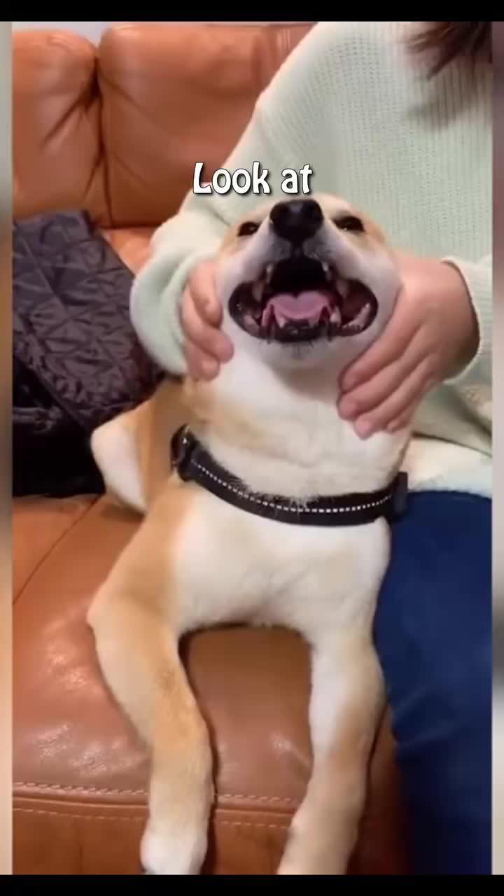 Can't stop playing it, help me!