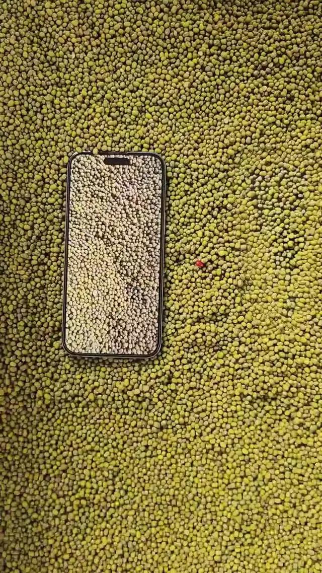 Free Useful APP for Your Life