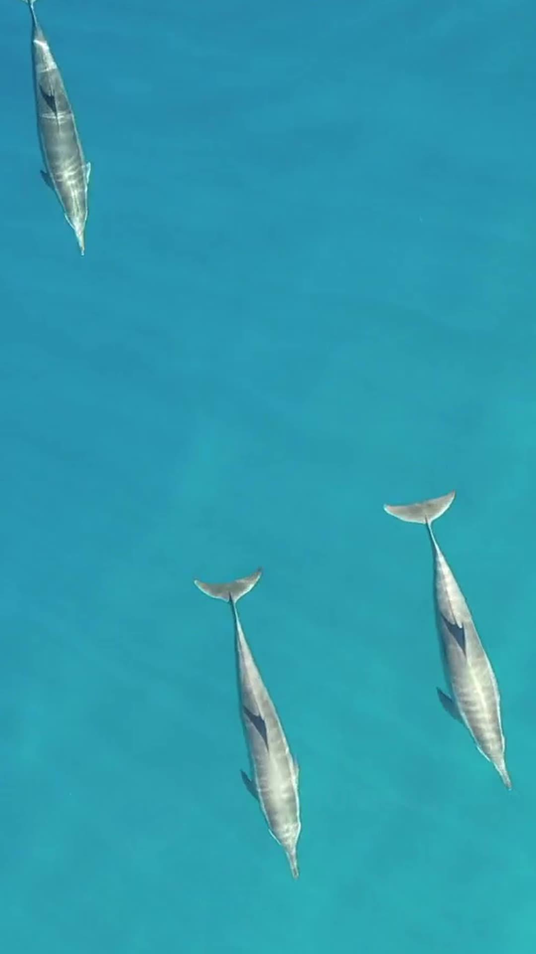 Your daily mindfulness coach.