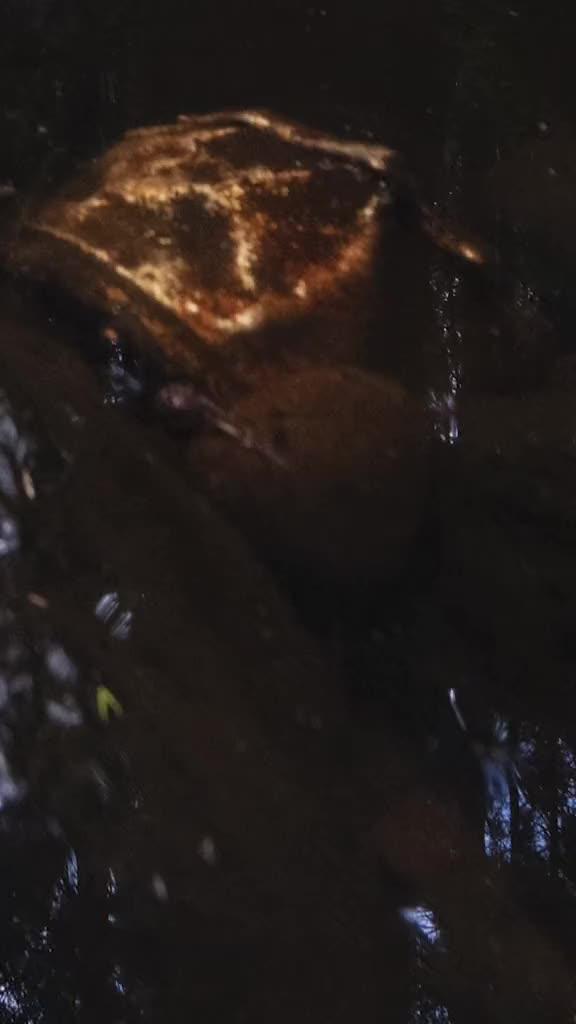 Own the Super Hot App for Free Now!