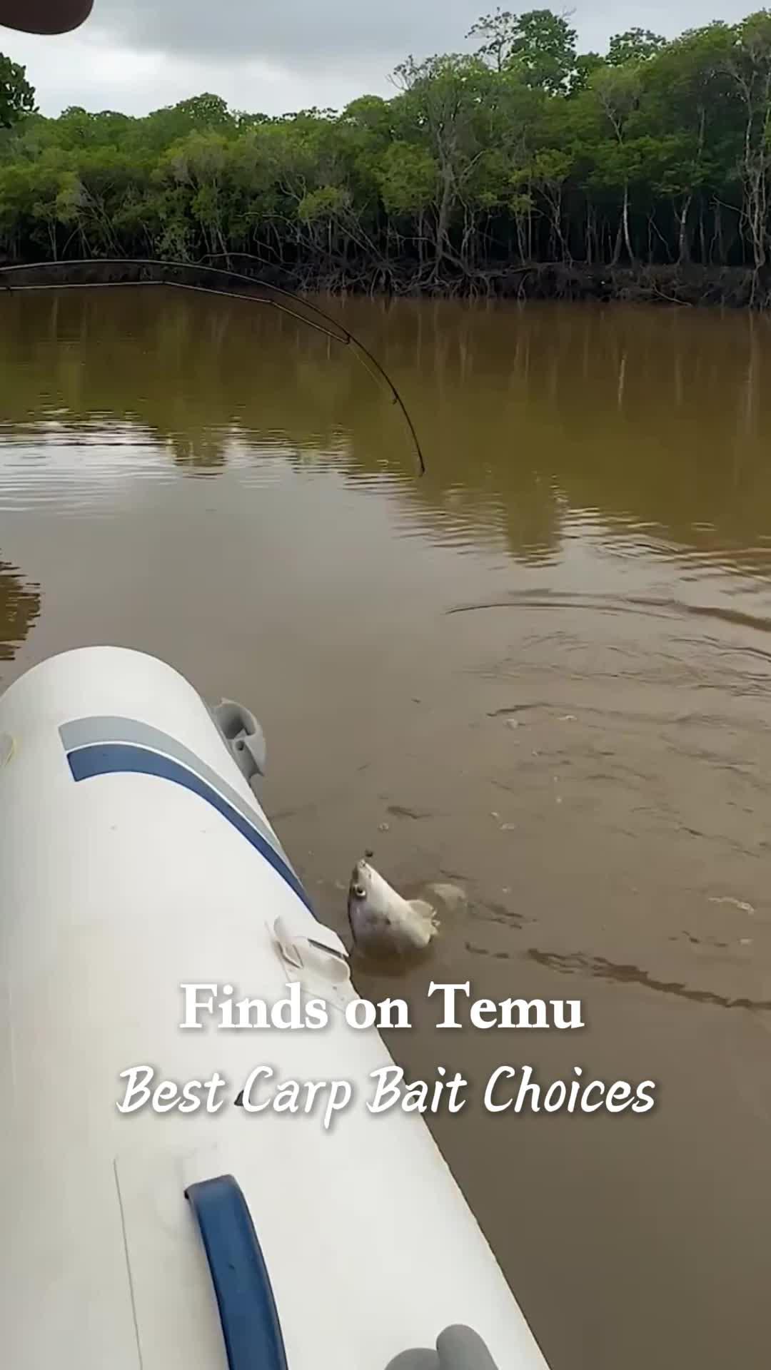 Land the big one with these FREE top-notch lures! Perfect for all your fishing tales. 🐟🎣 #FishingGear #ReelDeal #CatchOfTheDay #FishOn #AnglerLife