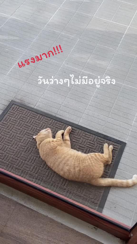 ลดแรงมากนะ😳‼️ #แอป🍊