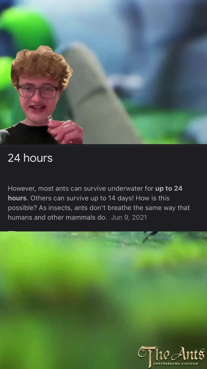Build your ants kingdom!
