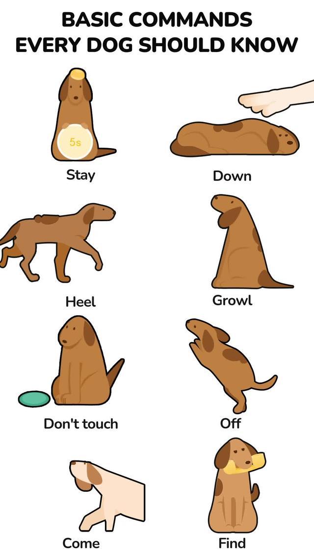 Best app to know your poppy